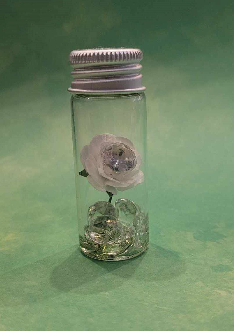 fleur en bouteille