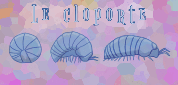 Le cloporte